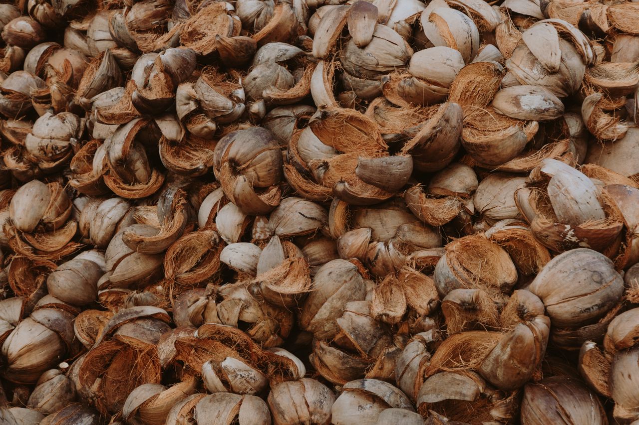 Como comprar chips de coco